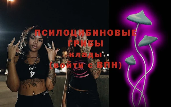 сатива Осинники