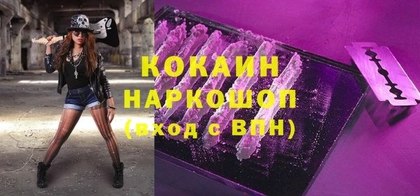 сатива Осинники