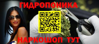 хмурый Гусь-Хрустальный