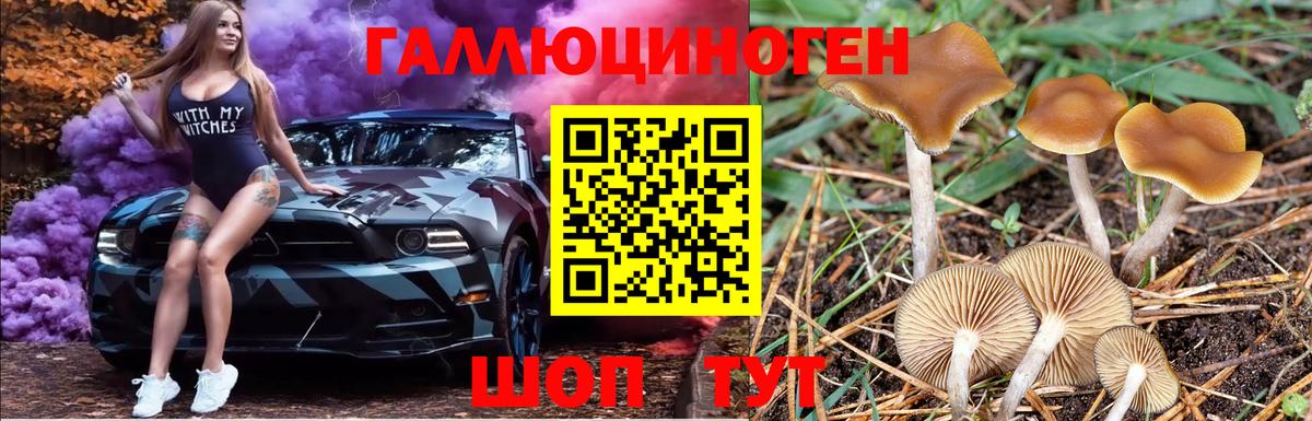 Псилоцибиновые грибы GOLDEN TEACHER  Галлюциногенные грибы Cubensis  Вход с VPN  Карталы 