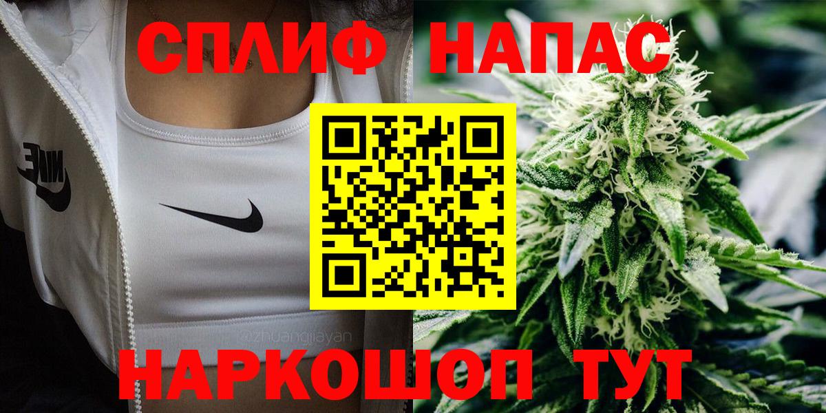 Каннабис White Widow  Карталы  Канабис ГИДРОПОН  Конопля сатива 